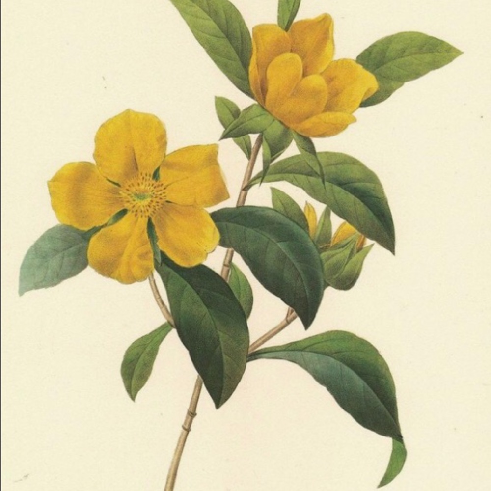 SpringTime🌸🤞 - Picture 4 of 16